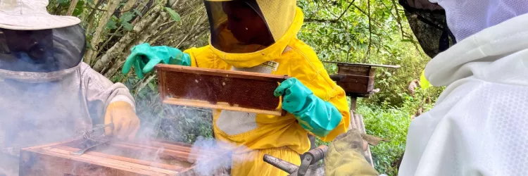 Governo da Bahia fortalece a apicultura no Recôncavo com entrega de 220 kits