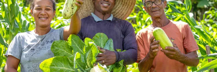 Bahia implementa Estratégia de Crédito Assistido e amplia acesso ao Programa Nacional de Fortalecimento da Agricultura Familiar