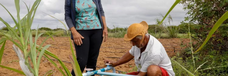 Dia Mundial da Água: ações da SDR ampliam acesso à água e fortalecem a produção no Semiárido Baiano