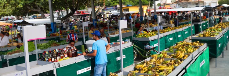 Investimentos do Estado fortalecem infraestrutura econômica