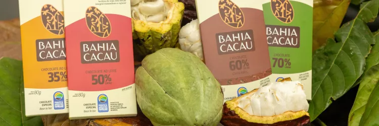 Bahia Cacau: pioneira no chocolate da agricultura familiar