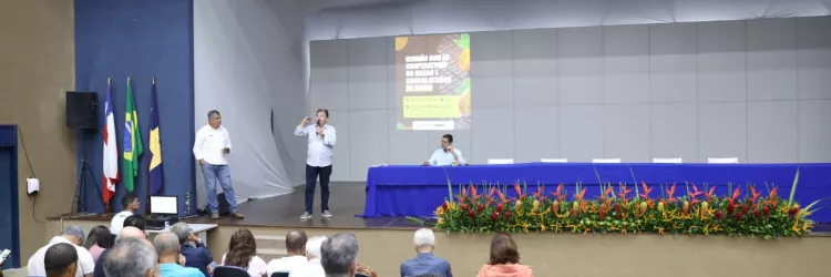 Estratégias para valorização do cacau 