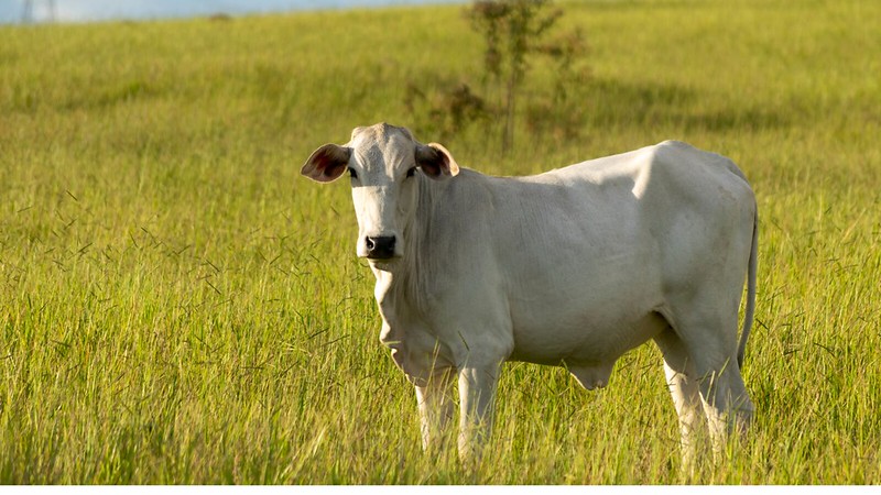 Atualização cadastral 