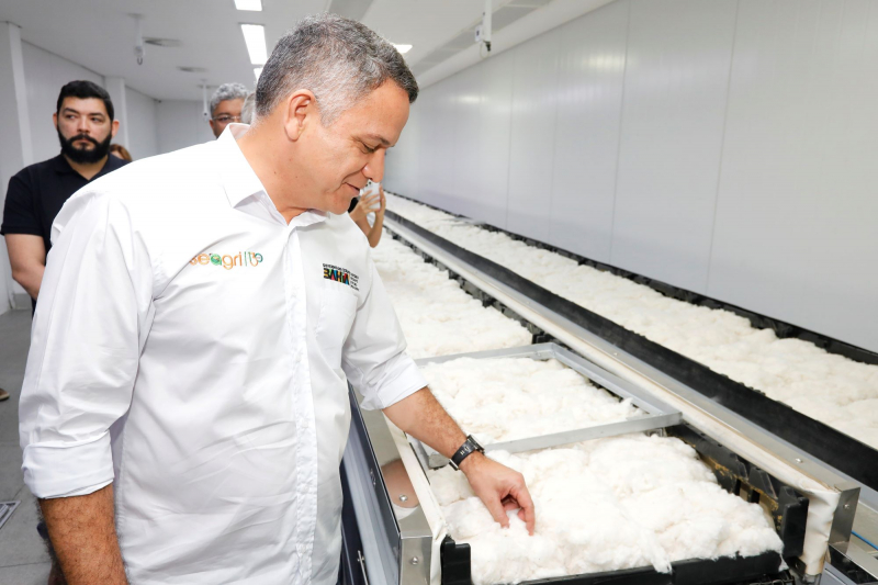 Seagri fortalece cooperação e destaca padrão internacional do algodão baiano em visita ao laboratório da Abapa