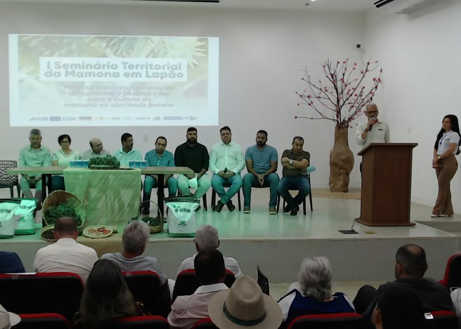 Seminário Mamona Lapão