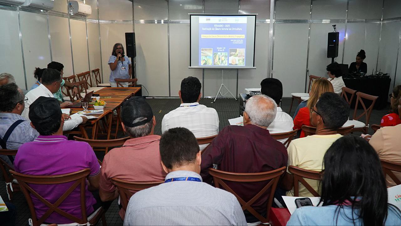 Reunião Câmaras Setoriais Fenagro 2025