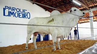 WhatsApp Image 2025-08-09 at 17.32.41.jpeg