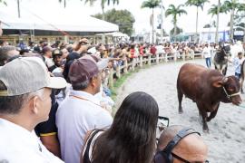 IMG-20250907-WA0134 (1).jpg