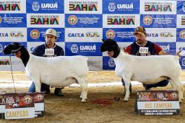 WhatsApp Image 2025-08-30 at 13 (1).jpg