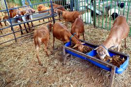 WhatsApp Image 2025-08-30 at 13.jpg