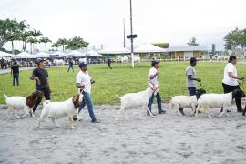 WhatsApp Image 2025-09-07 at 20 (1).jpg