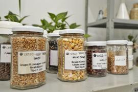 WhatsApp Image 2025-09-08 at 14.50.22.jpeg