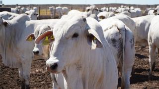 WhatsApp Image 2025-09-23 at 10.01.29 (1).jpeg