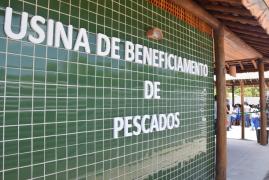 WhatsApp Image 2025-10-16 at 16.11.33.jpeg