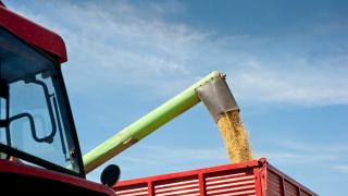 WhatsApp Image 2025-10-23 at 13.56.34 (1).jpeg