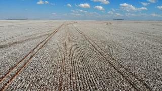 WhatsApp Image 2025-10-23 at 13.56.34.jpeg