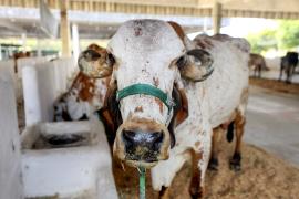 54177317314_05a32c62a4_o (1).jpg