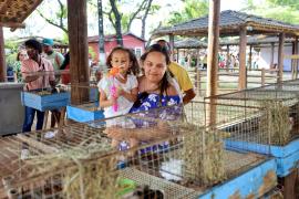 54177480480_6933cb15ce_o (1).jpg