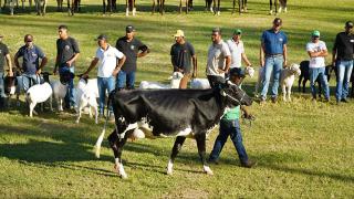 Mateus Pereira (866).jpg
