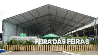 Mateus Pereira (567).jpg