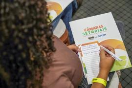 WhatsApp Image 2025-12-01 at 15.05.18.jpeg