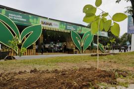 WhatsApp Image 2025-12-05 at 17.30.26.jpeg