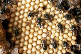 WhatsApp Image 2025-12-22 at 09 (1).jpg