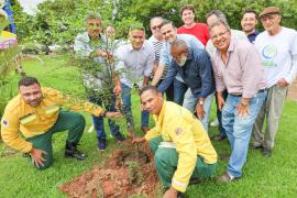 Projeto_arborizacao_urbana_Barreiras_Foto_Tiago_Dantas_Seagri_BA (2).jpeg