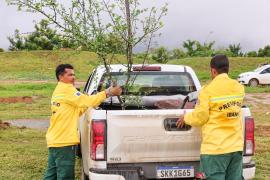 Projeto_arborizacao_urbana_Barreiras_Foto_Tiago_Dantas_Seagri_BA (5).jpeg