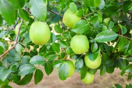 WhatsApp Image 2026-02-07 at 14.22.06.jpeg