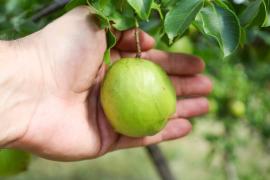 WhatsApp Image 2026-02-07 at 14.22.08.jpeg