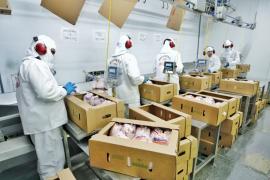 WhatsApp Image 2026-03-10 at 17.01.25.jpeg