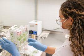 WhatsApp Image 2026-04-22 at 18.16.14 (1).jpeg