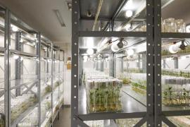 WhatsApp Image 2026-04-22 at 18.16.14.jpeg