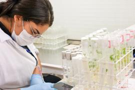 WhatsApp Image 2026-04-22 at 18.16.15 (2).jpeg