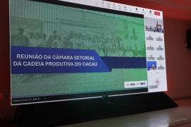 Reuniao_Camara_Setorial_Cacau_Barreiras_Foto_Tiago_Dantas_Seagri_BA (4).jpeg