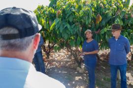 Reuniao_Camara_Setorial_Cacau_Barreiras_Foto_Tiago_Dantas_Seagri_BA (6).jpeg