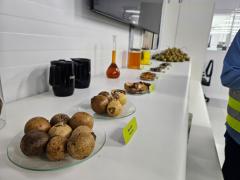 Visita_tecnica_Bahia_AgriPark_Acelen_Foto_Divulgacao (4) (1).jpeg