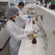 Órgão vinculado à Seagri, o Cetab vai ofertar análises laboratoriais gratuitas de solo, água para irrigação, mel, farinha e outras.jpeg