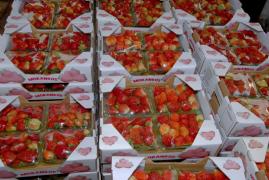 0005  18012011 - Morro do Chapeu - Cred fot - Heckel Junior - (71) 9289 6829 _.JPG