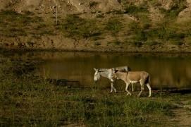 0006 - 03092012 - SECA _  - Copyright©Heckel Junior - (71) 92896829.jpg