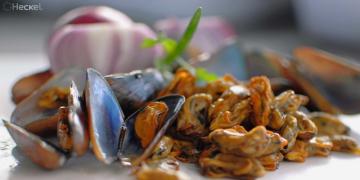 0010   -  HECKELPORTFÓLIO_ fotógrafo - HECKEL JUNIOR (71) 992896829 - 03122016.JPG