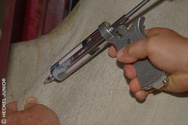 0011  04052012  - Aftosa lançamento da campanha   - Copyright©Heckel Junior - (71) 9289 6829 __1.JPG