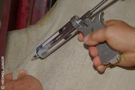 0011  04052012  - Aftosa lançamento da campanha   - Copyright©Heckel Junior - (71) 9289 6829 __2.JPG