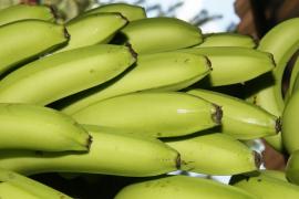 00378 03062015  - MISSAO OESTE - Foto- Heckel JuniorFOTO ©HECKEL JUNIOR - (71)92896829.JPG