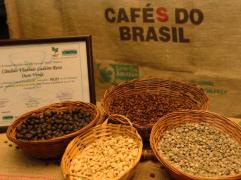 00726  01122015 _ FENAGRO 2015 - FOTO HECKEL JUNIOR SEAGRI.jpg