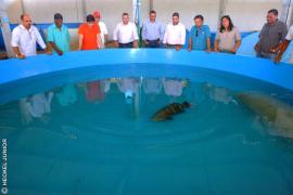 0166  12082015 _CVTT FAZENDA ORUABO VISITA_ FOTO - HECKEL JUNIOR (71) 992896829  .jpg