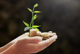 0605_seguro_rural_agronegocio_investimento_maos_protecao_dinheiro_financeiro_9.jpg