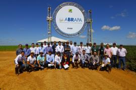 07.05.18_Abapa participa de dia de campo para manejo da ramulária4.jpg