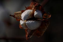 07092011  00173_ Evento algodao L E M _ Foto- Heckel Junior_.jpg